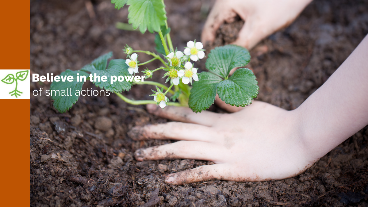 Incredible Edible in Lincolnshire