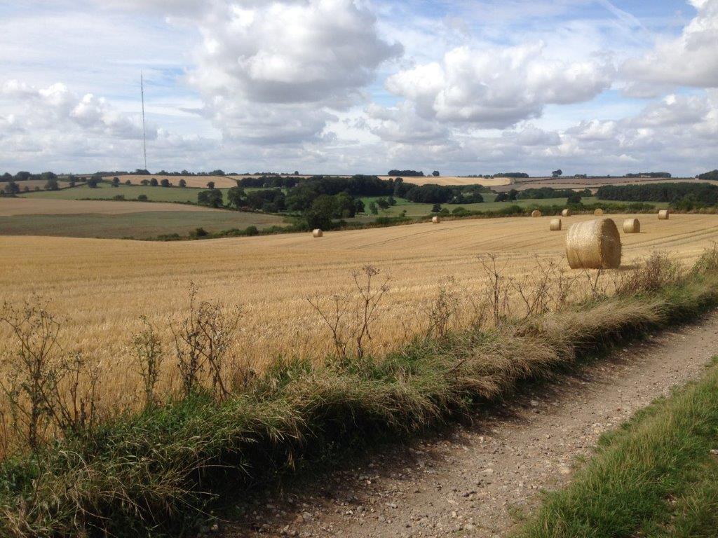 Food and farming policy – Money in the till?