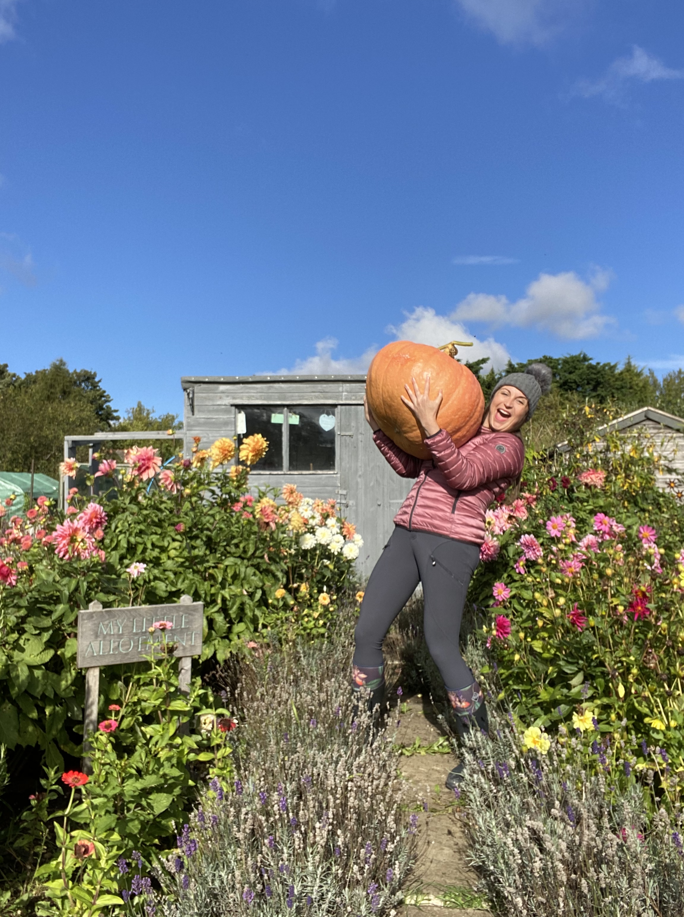 My Little Allotment: growing veggies, well-being and an online community