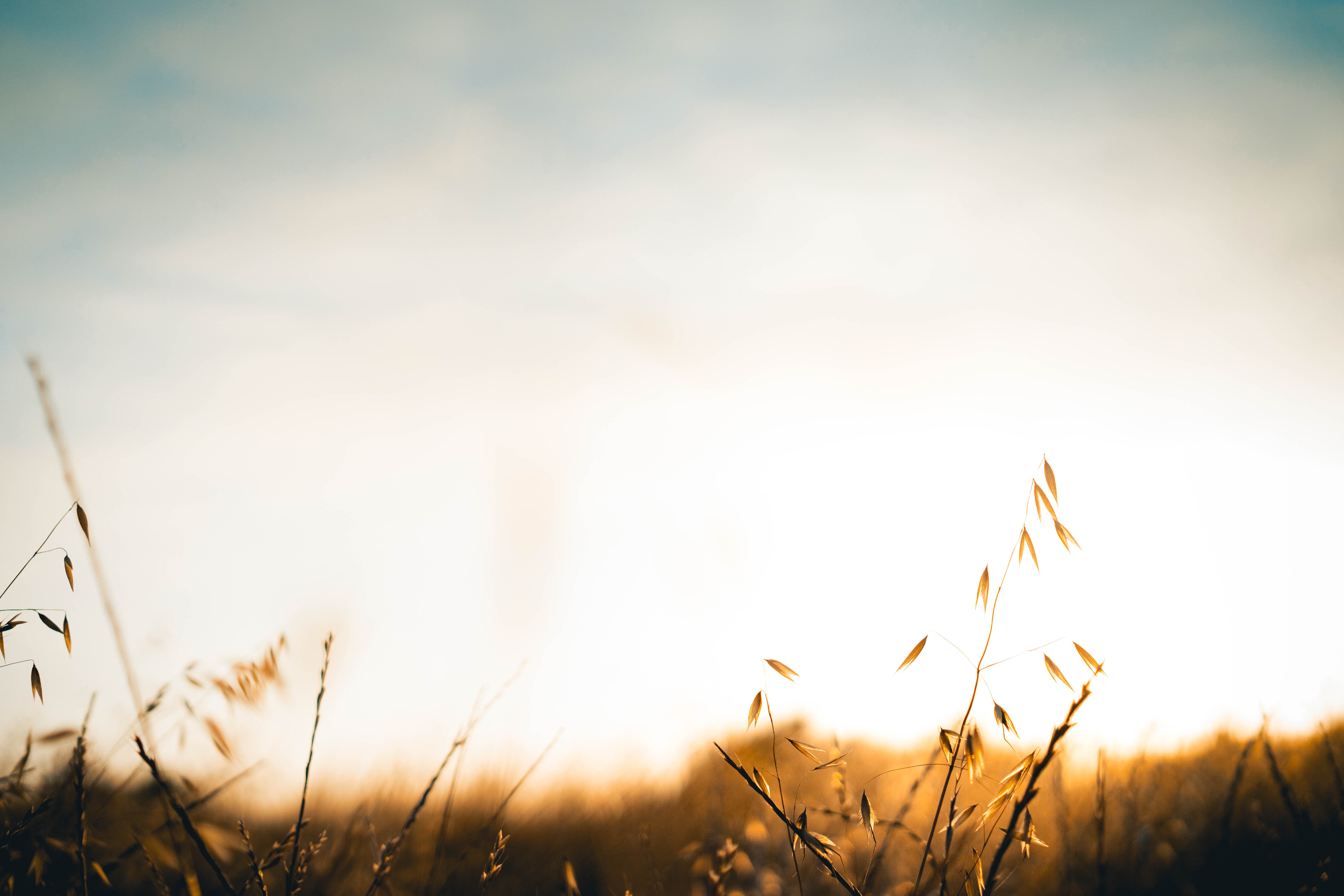 Food Need in Rural Lincolnshire up 400%