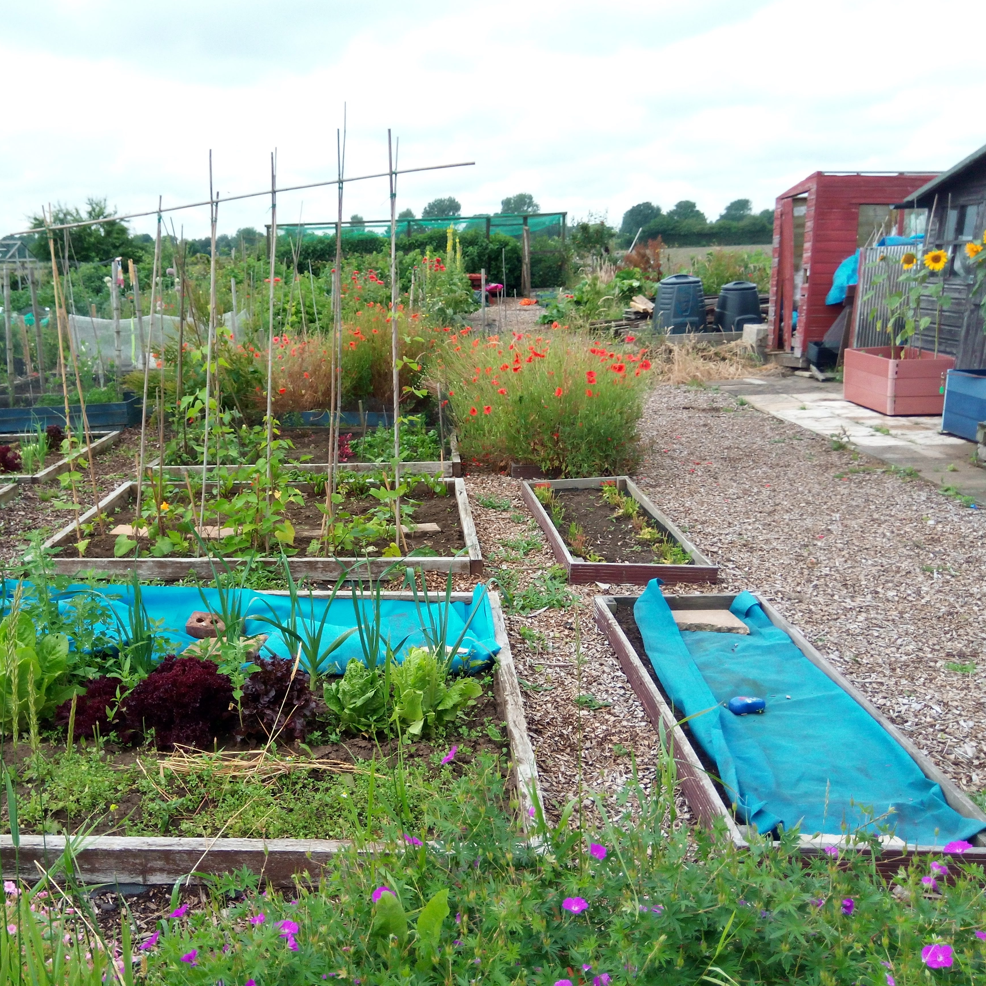 Low Fulney Family Allotments